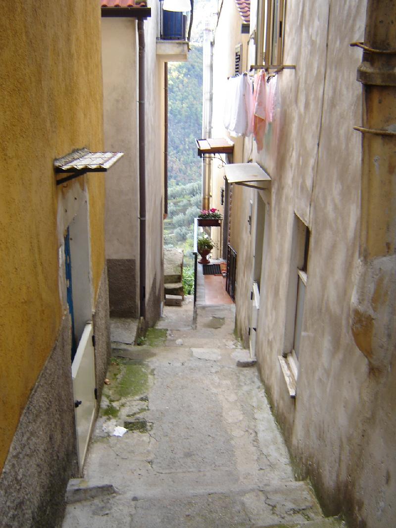 DSC00940