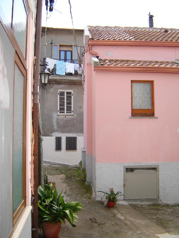 DSC00954