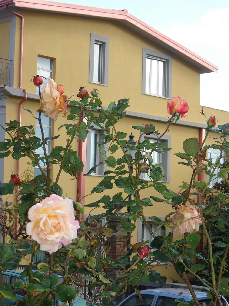 benvenuti nel Comune di Pentone. Immagine di repertorio - Facciata di una casa con rose in rimo piano